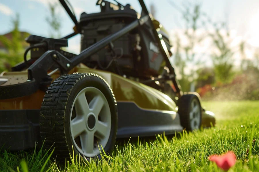 cordless electric lawnmower