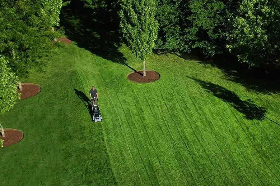 rechargeable lawn mowers